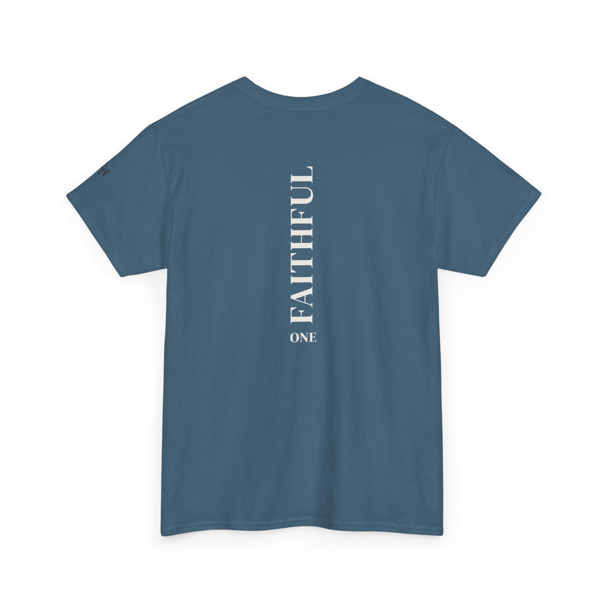 I Am Not Ashamed of the Gospel Faithful Christian T-Shirt