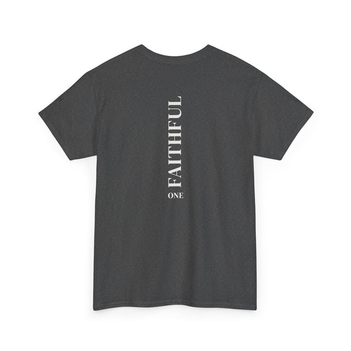 I Am Not Ashamed of the Gospel Faithful Christian T-Shirt