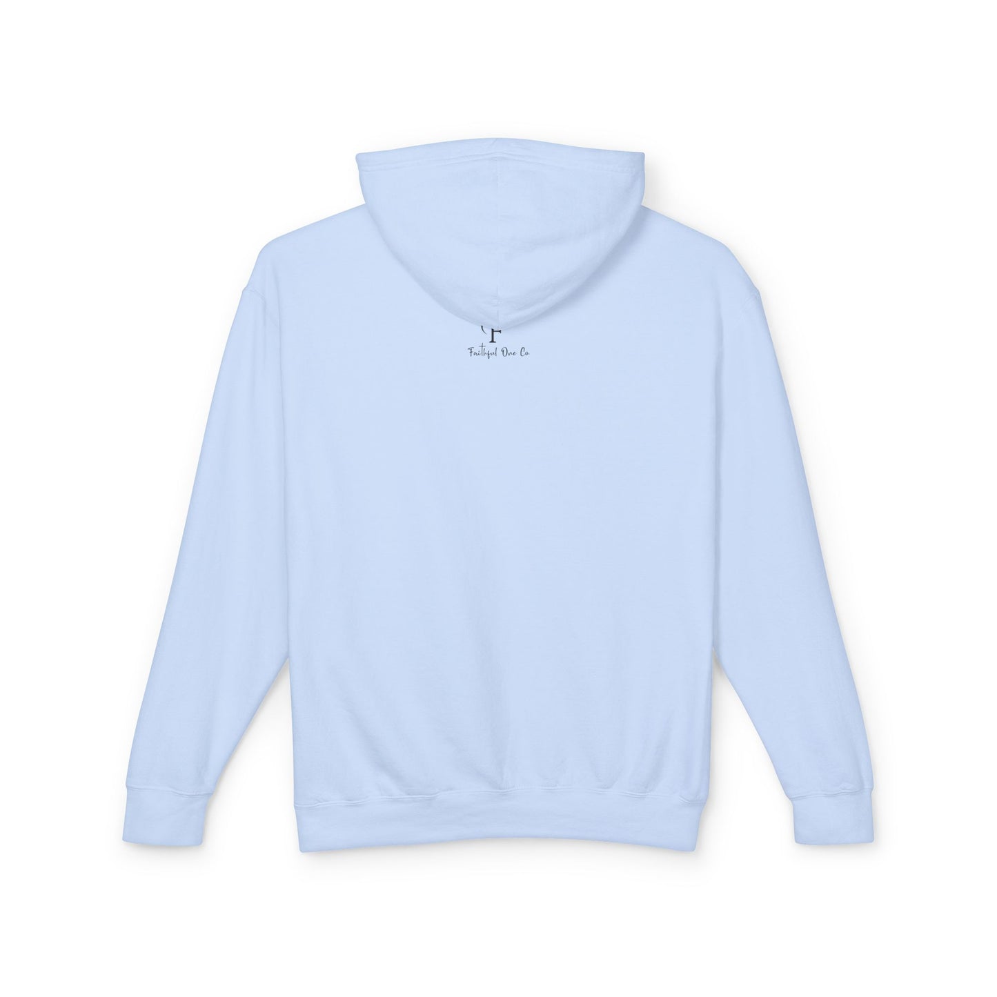 Biblical Wisdom Long Sleeve T-Shirt — Faith Scripture Christian Hoodie