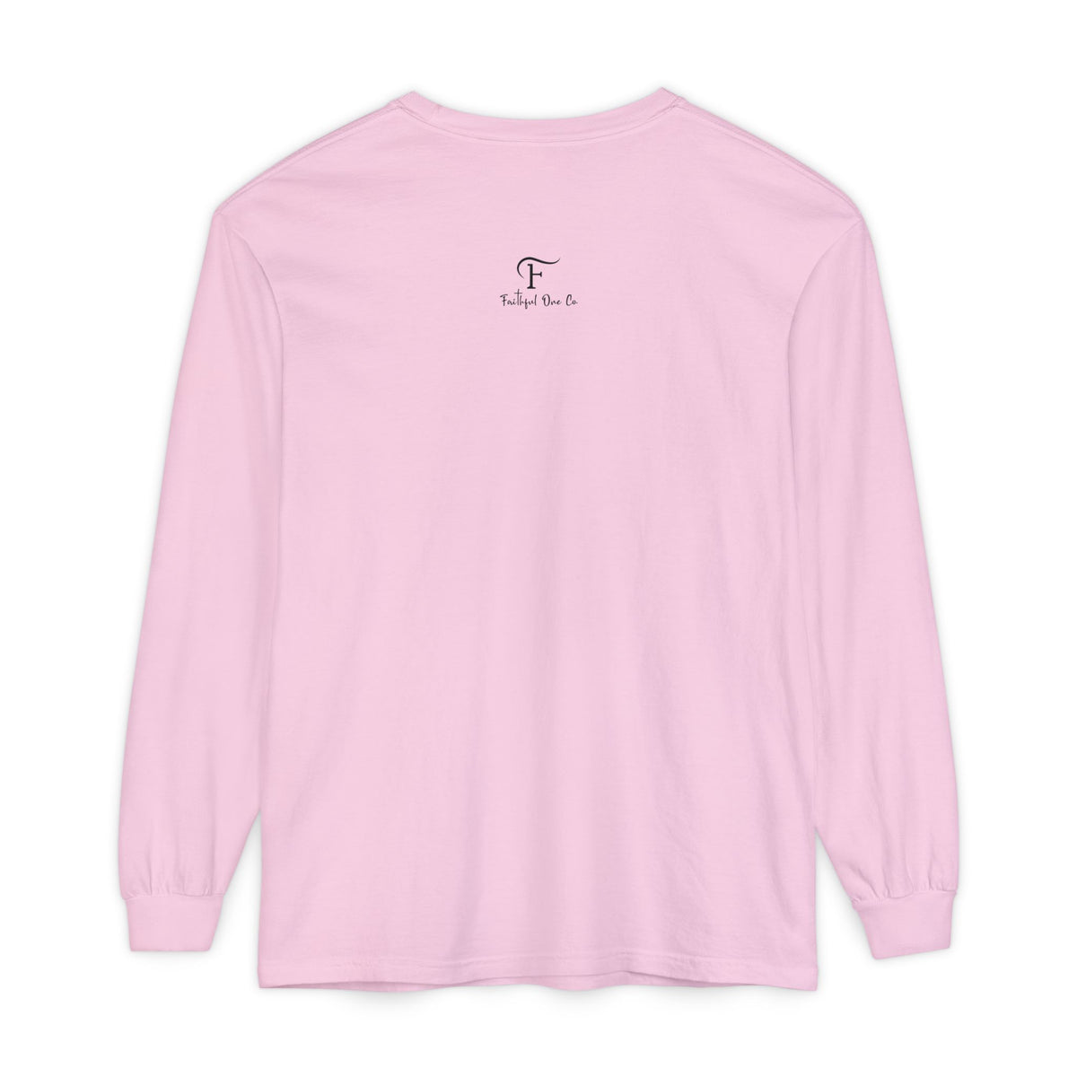 Biblical Wisdom Long Sleeve T-Shirt — Faith Scripture Tee