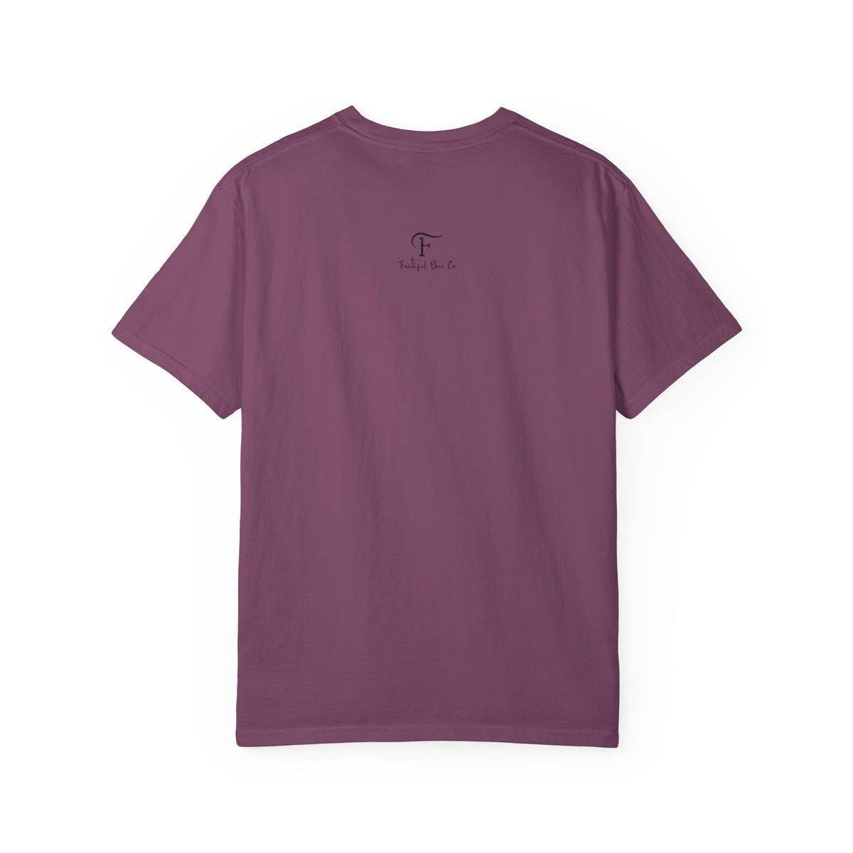 Biblical Wisdom T-Shirt — "Wisdom & Truth" Ecclesiastes 7:11 Scripture Tee