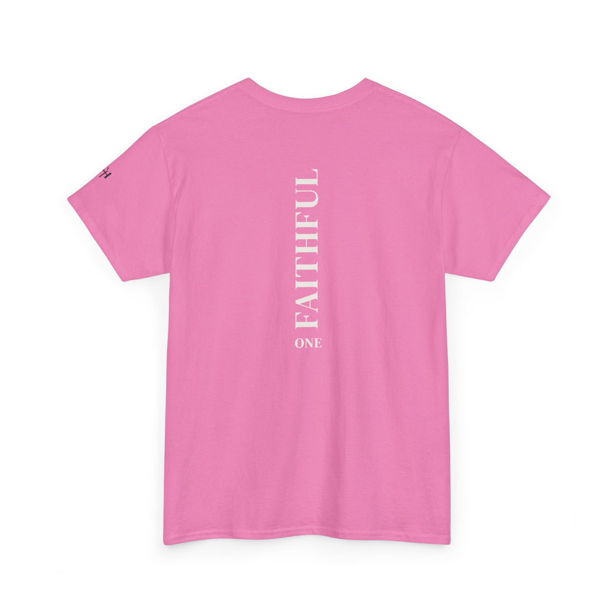 I Am Not Ashamed of the Gospel Faithful Christian T-Shirt