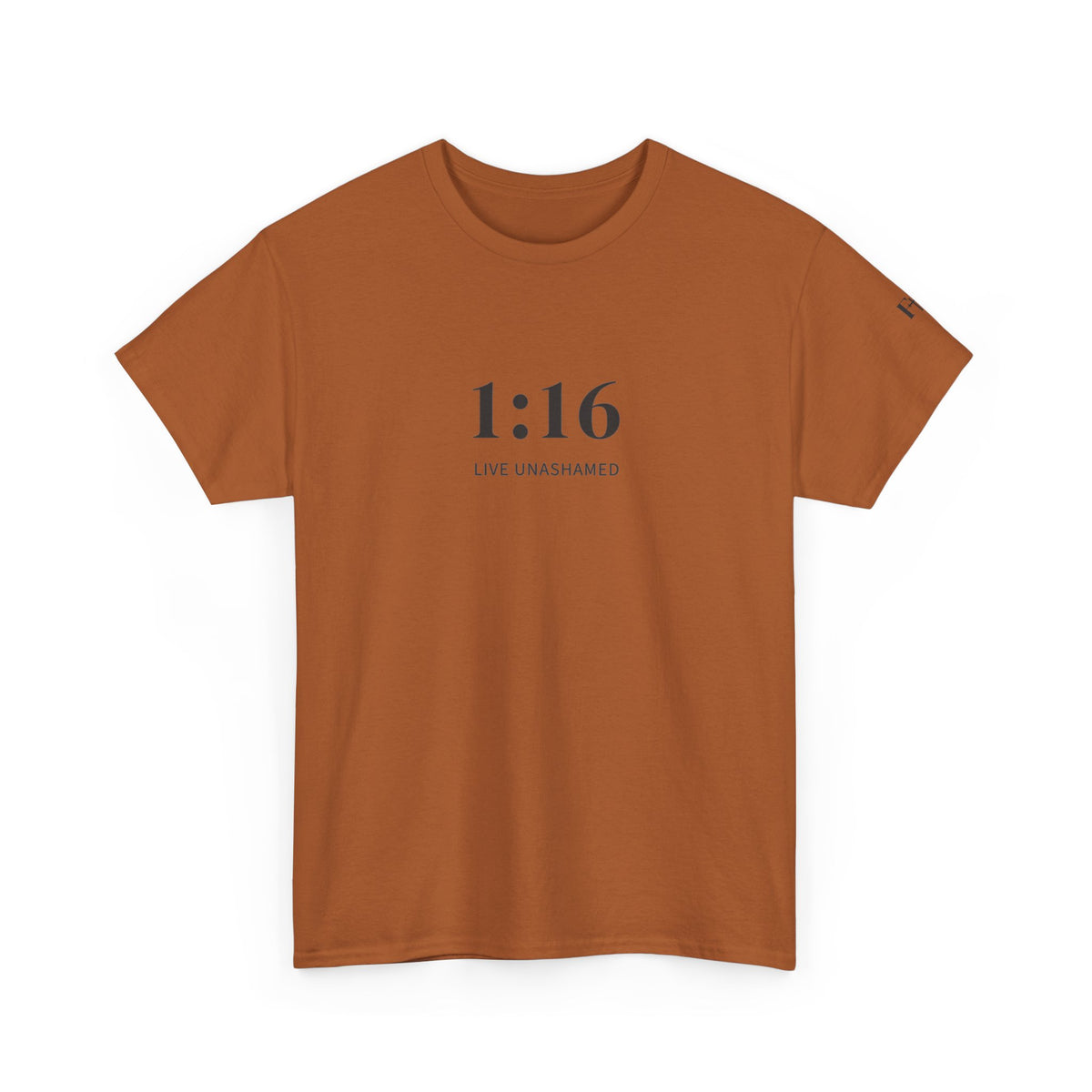 1:16 Live Unashamed Faithful Christian T-Shirt