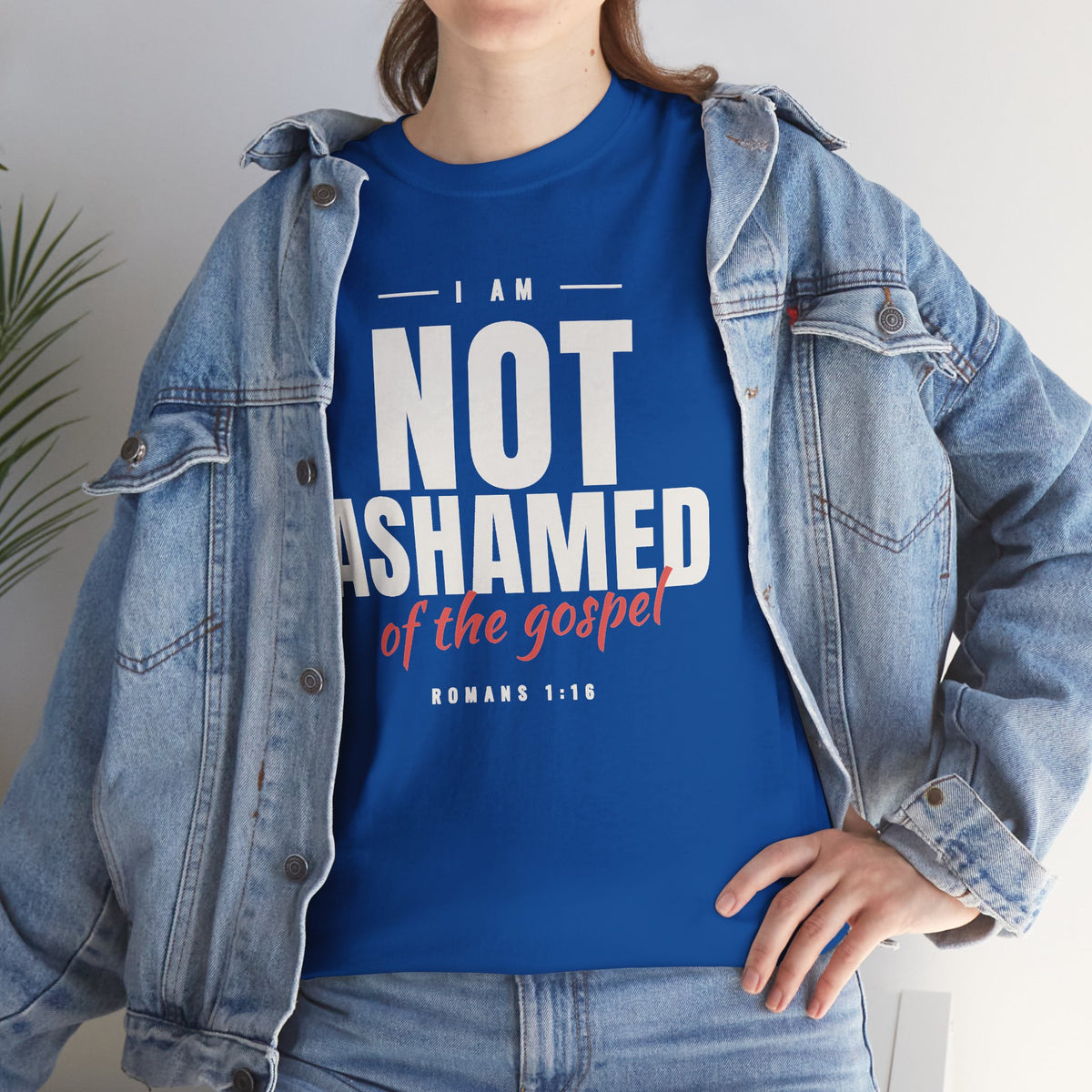 I Am Not Ashamed of the Gospel Faithful Christian T-Shirt