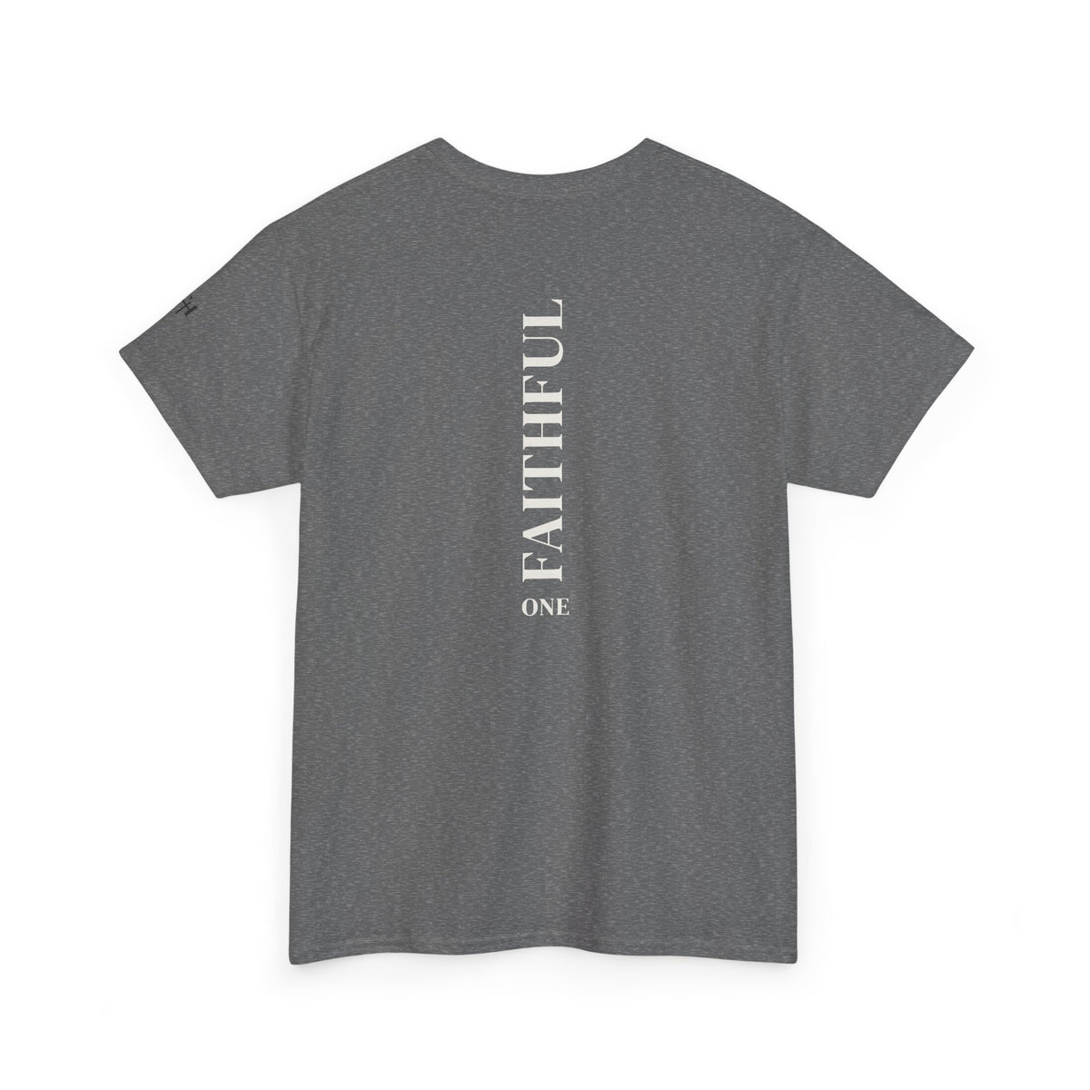 I Am Not Ashamed of the Gospel Faithful Christian T-Shirt