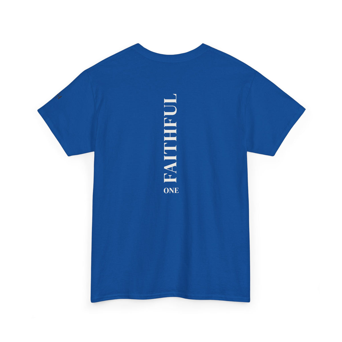 I Am Not Ashamed of the Gospel Faithful Christian T-Shirt