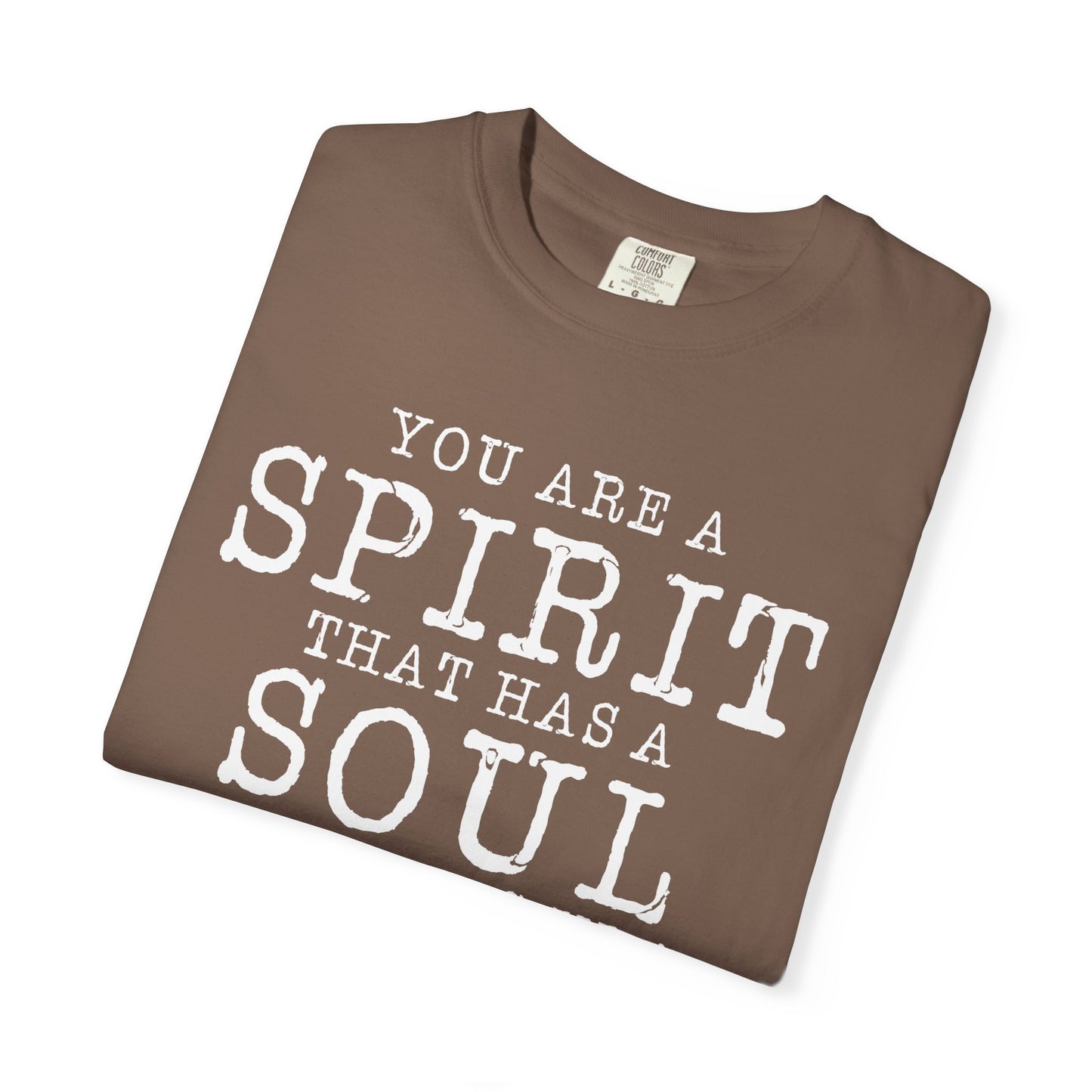 You Are A Spirt That Has A Soul And Lives In A Body "1 Thessalonians 5:23"