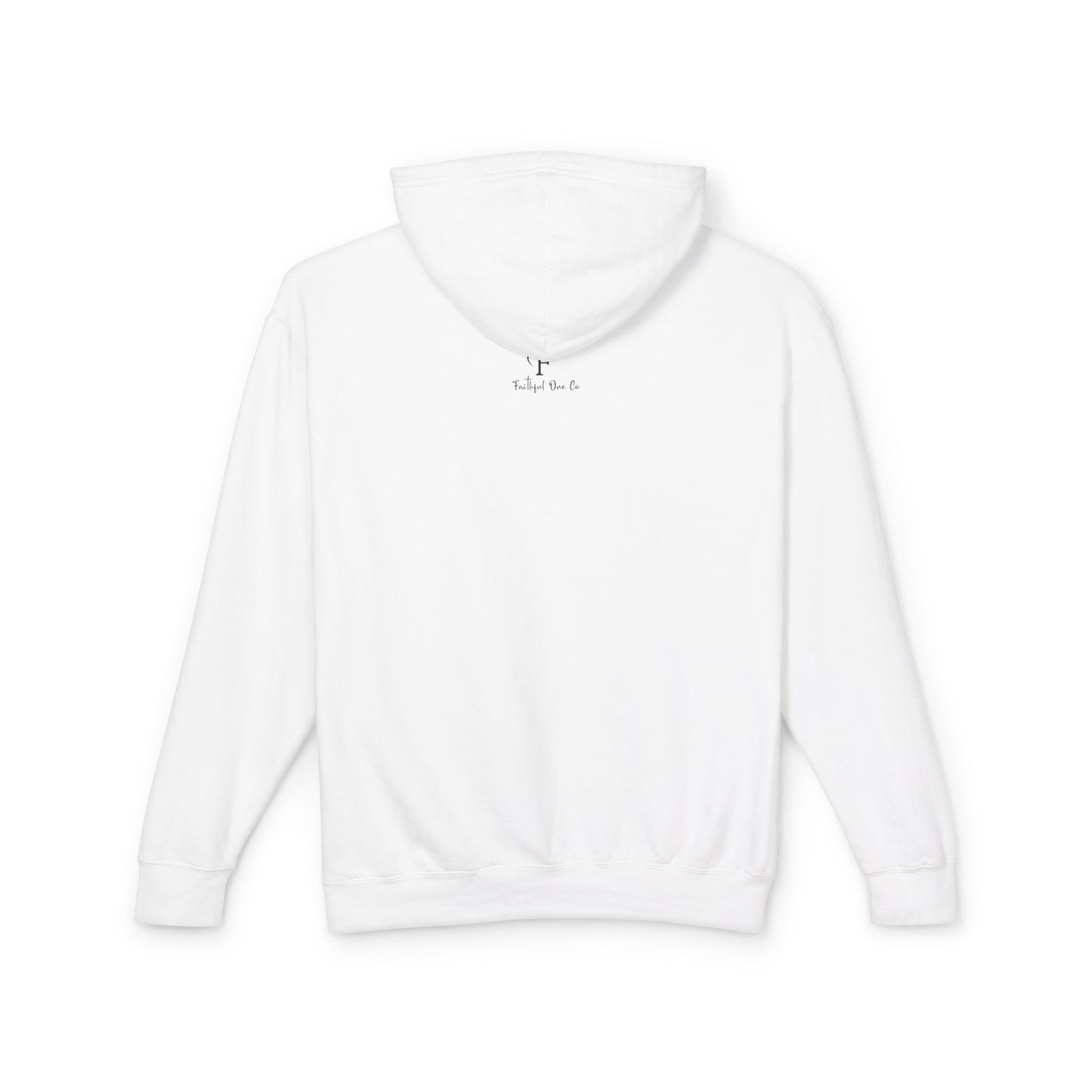 Biblical Wisdom Long Sleeve T-Shirt — Faith Scripture Christian Hoodie