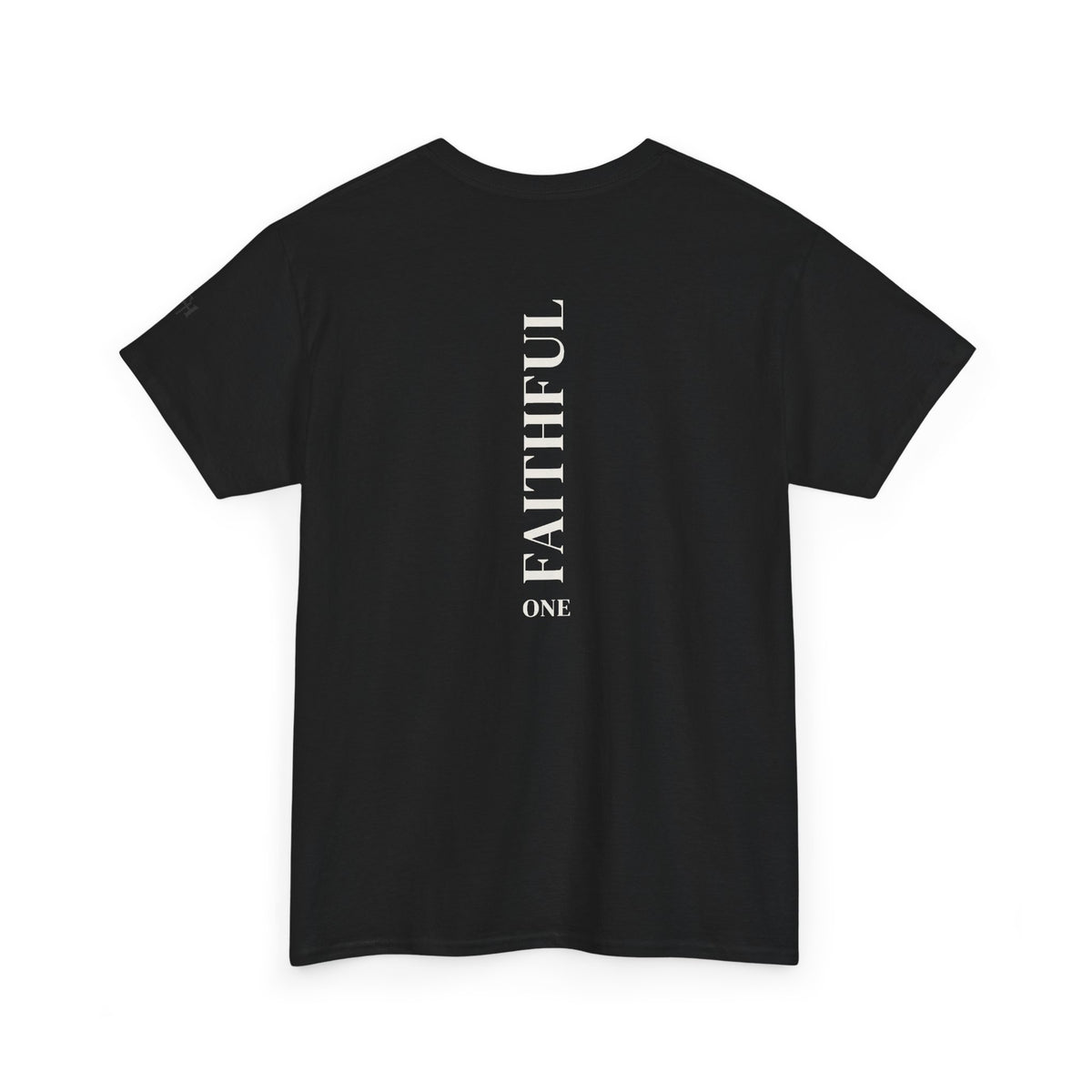 I Am Not Ashamed of the Gospel Faithful Christian T-Shirt