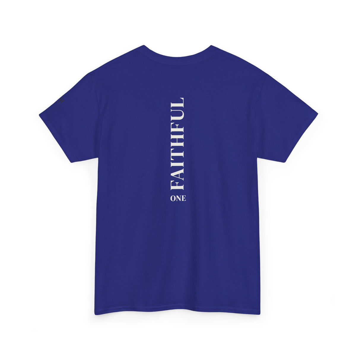 I Am Not Ashamed of the Gospel Faithful Christian T-Shirt