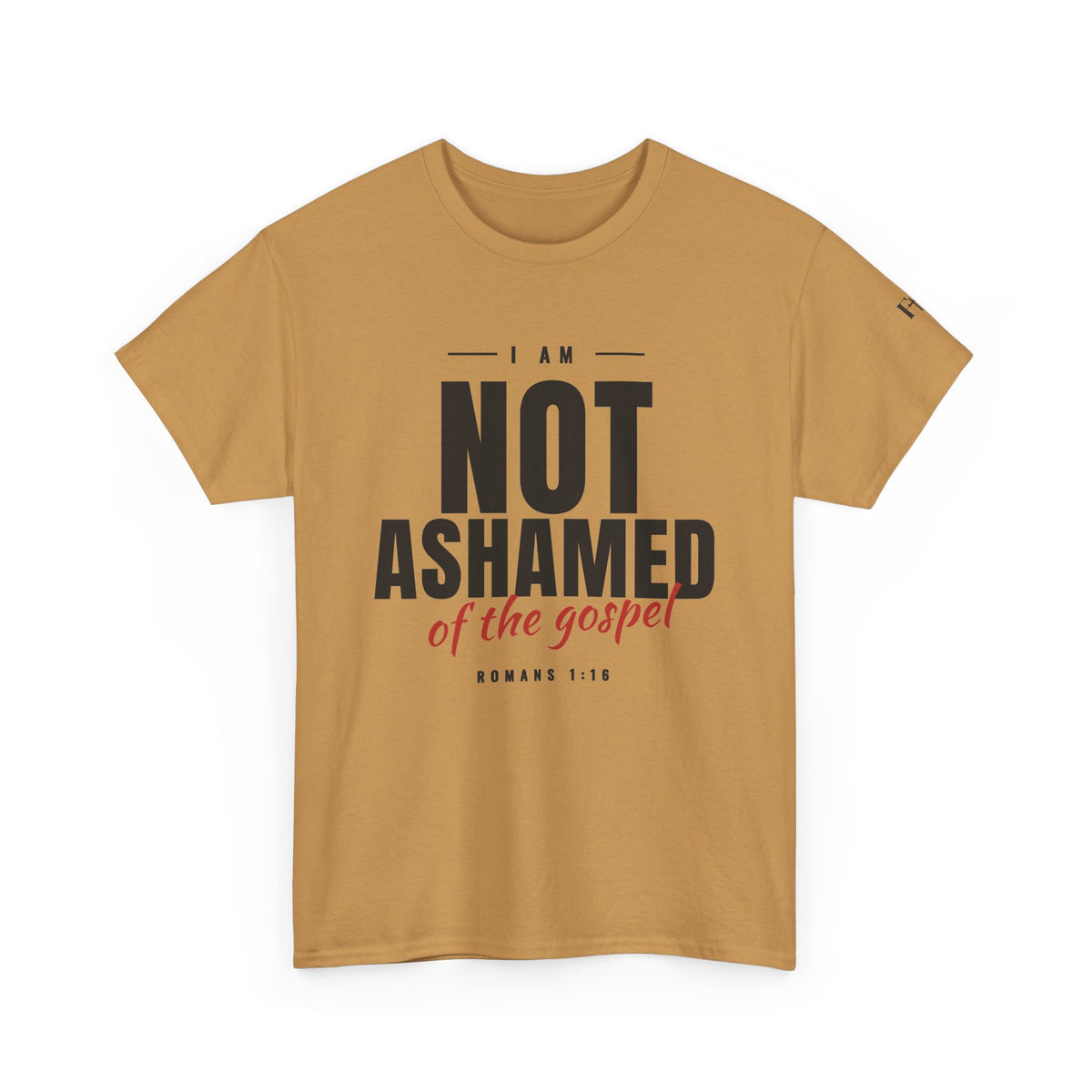 Not Ashamed of the Gospel Christian Faith T-Shirt
