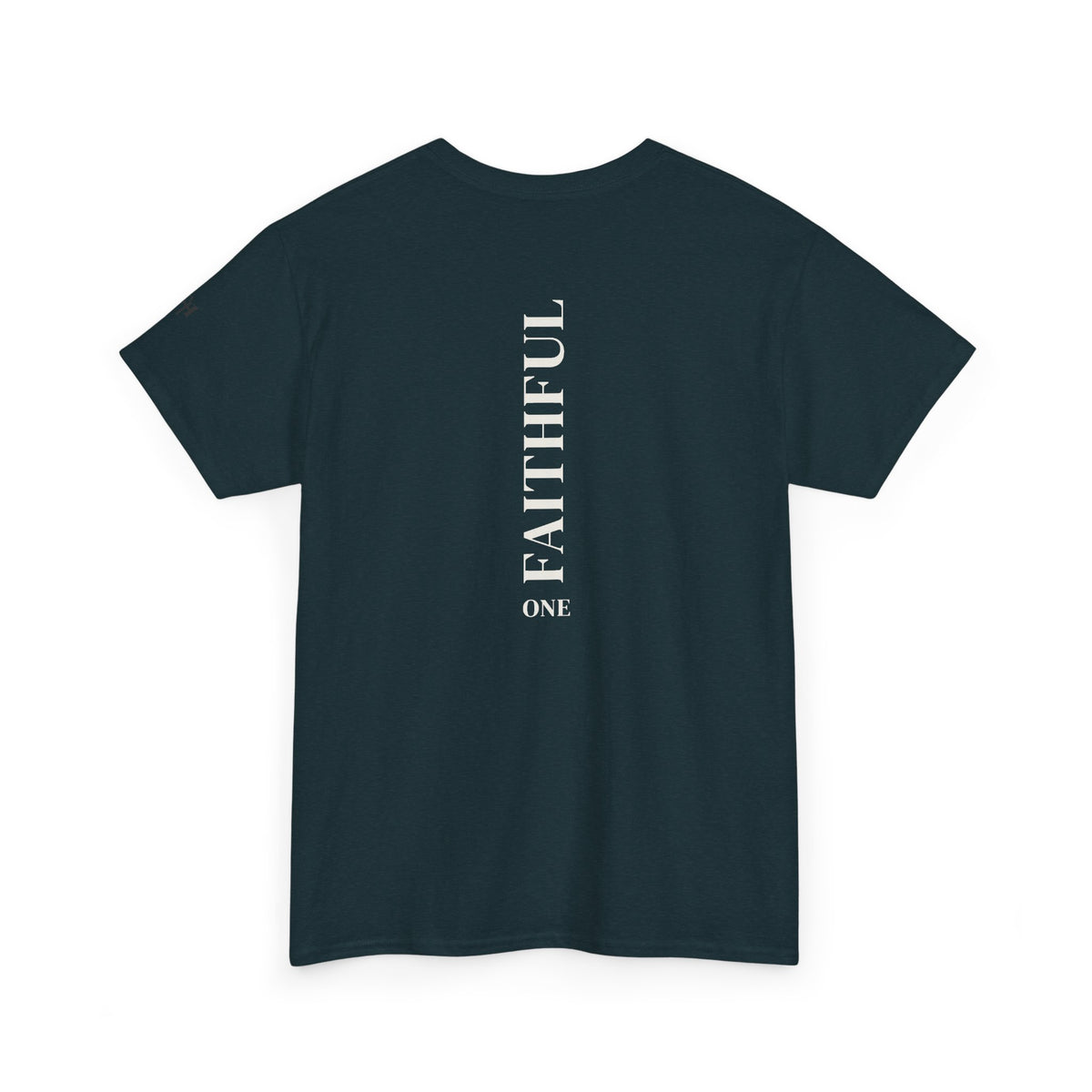 I Am Not Ashamed of the Gospel Faithful Christian T-Shirt