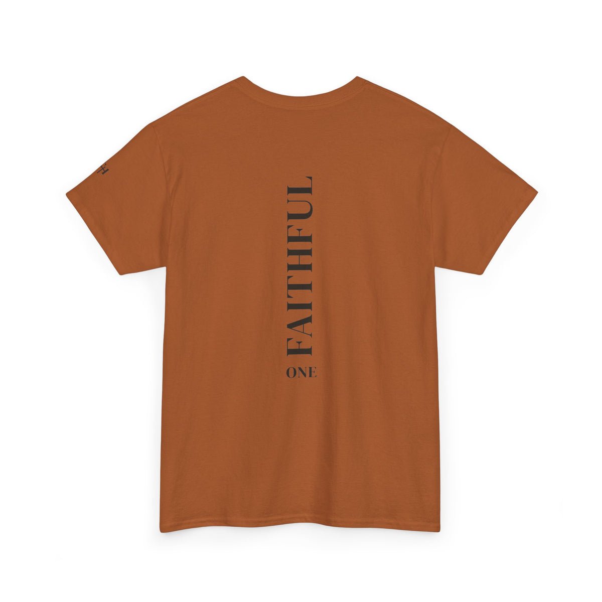 1:16 Live Unashamed Faithful Christian T-Shirt
