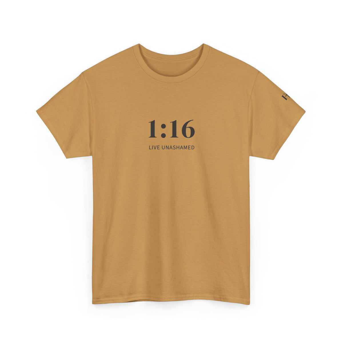1:16 Live Unashamed Faithful Christian T-Shirt