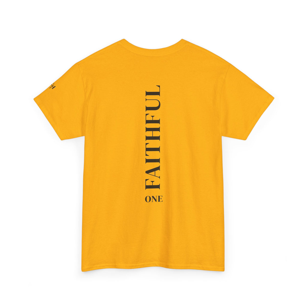 Not Ashamed of the Gospel Christian Faith T-Shirt