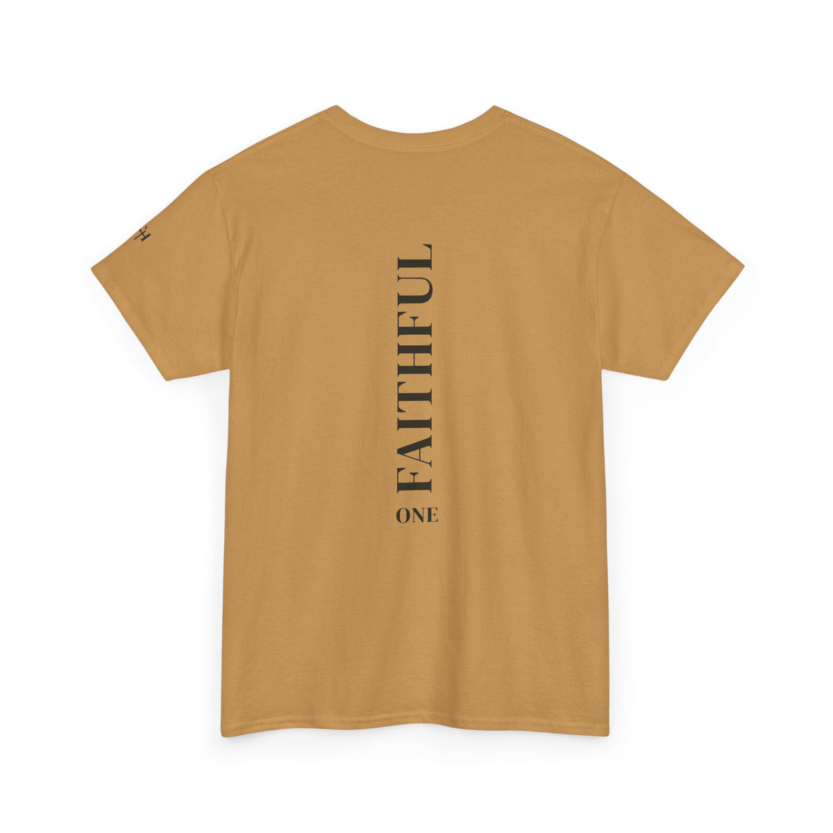 1:16 Live Unashamed Faithful Christian T-Shirt