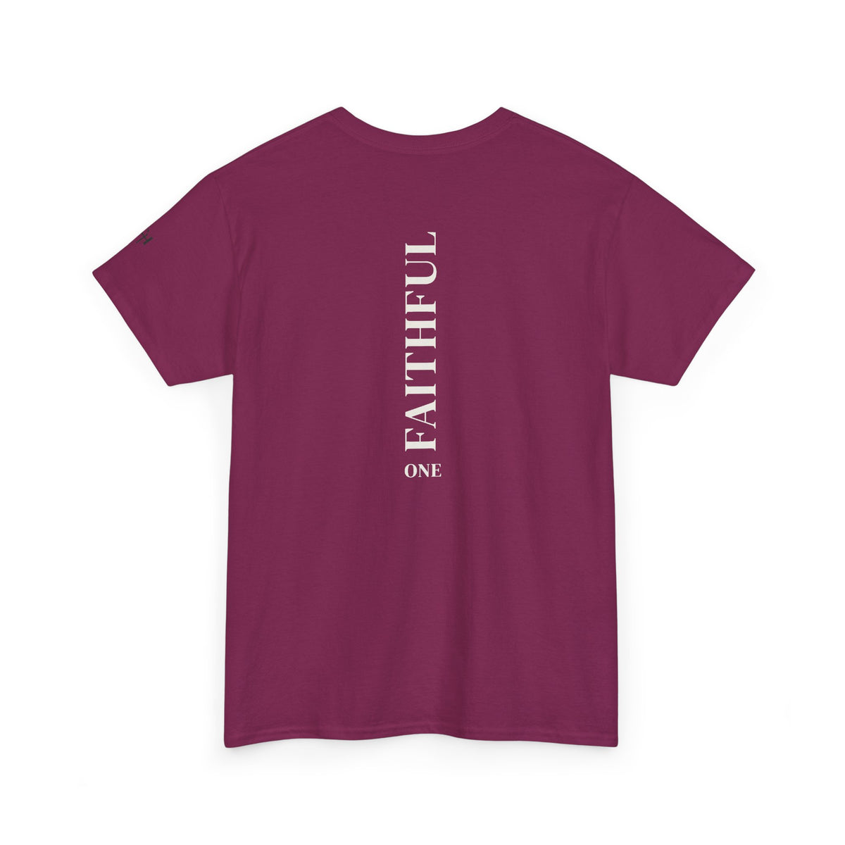 I Am Not Ashamed of the Gospel Faithful Christian T-Shirt