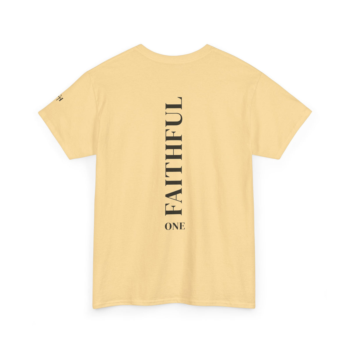 Not Ashamed of the Gospel Christian Faith T-Shirt