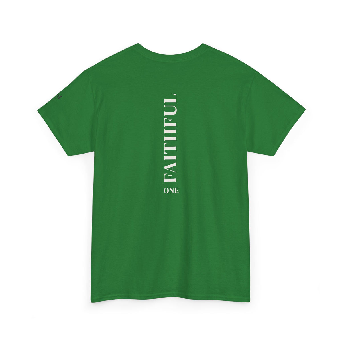 I Am Not Ashamed of the Gospel Faithful Christian T-Shirt