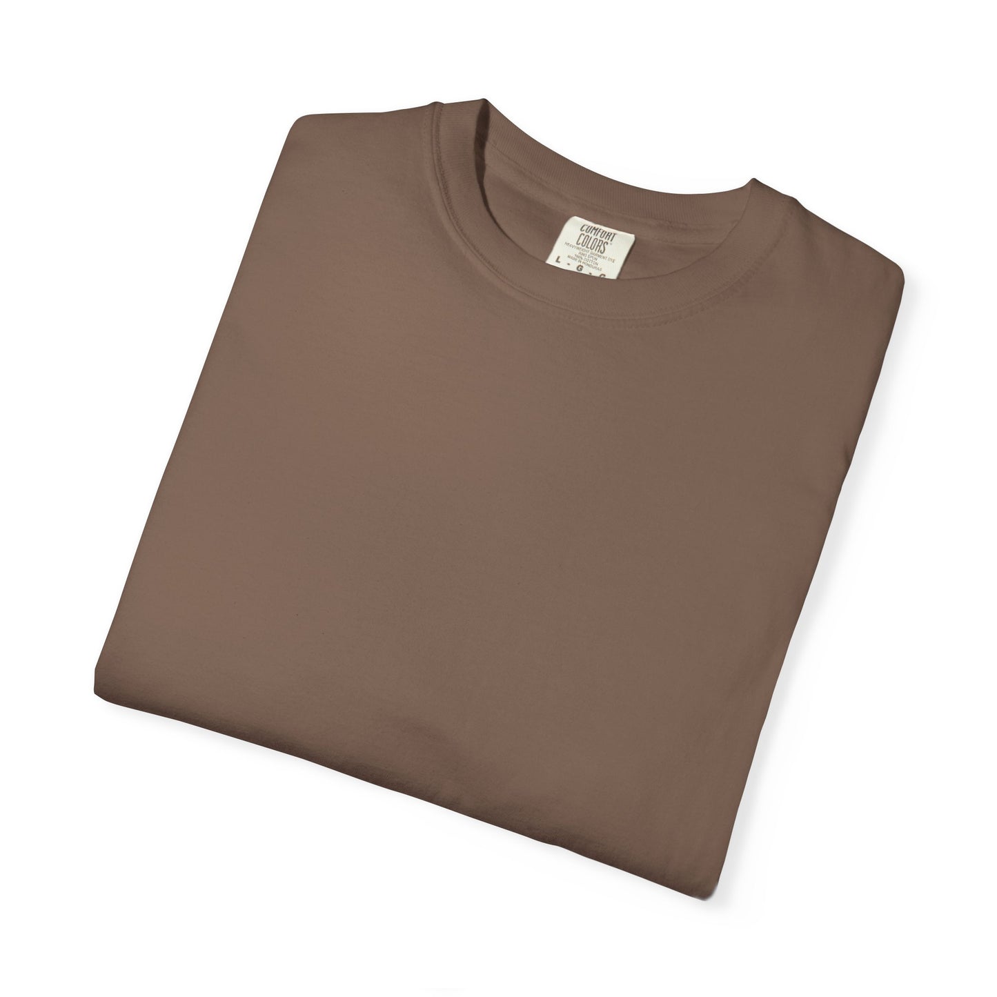 Revelation 22:20 100% Cotton T-Shirt
