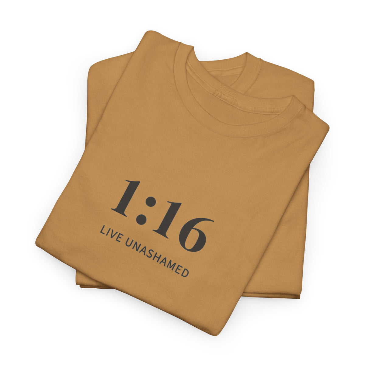 1:16 Live Unashamed Faithful Christian T-Shirt