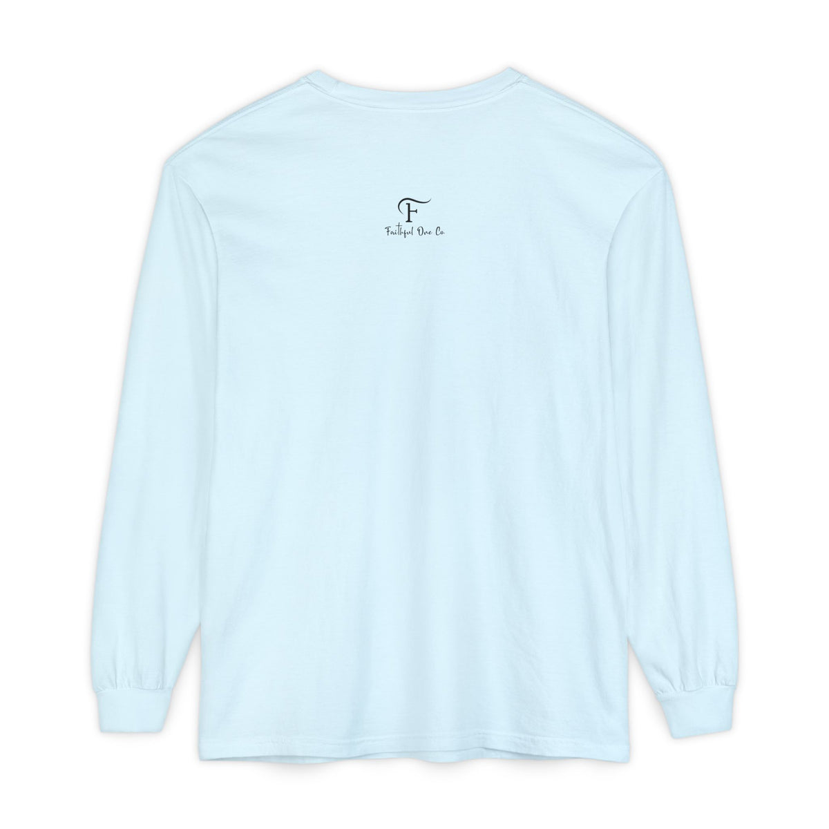 Biblical Wisdom Long Sleeve T-Shirt — Faith Scripture Tee