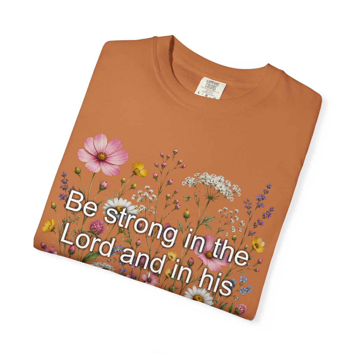 Be Strong in the Lord Ephesians 6:10