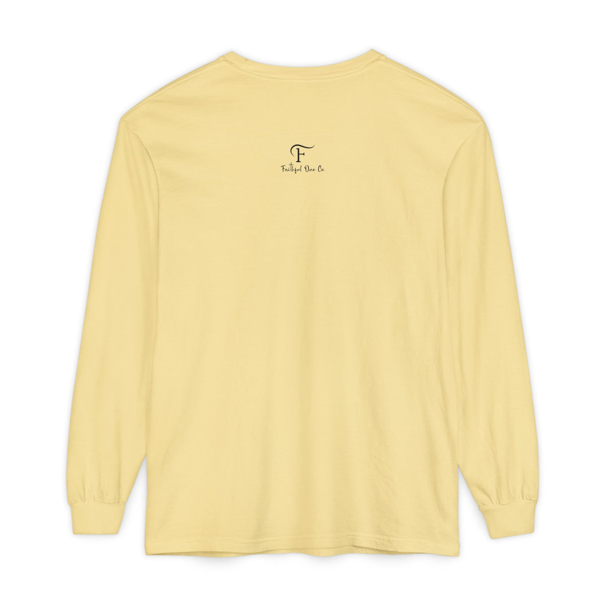 Biblical Wisdom Long Sleeve T-Shirt — Faith Scripture Tee