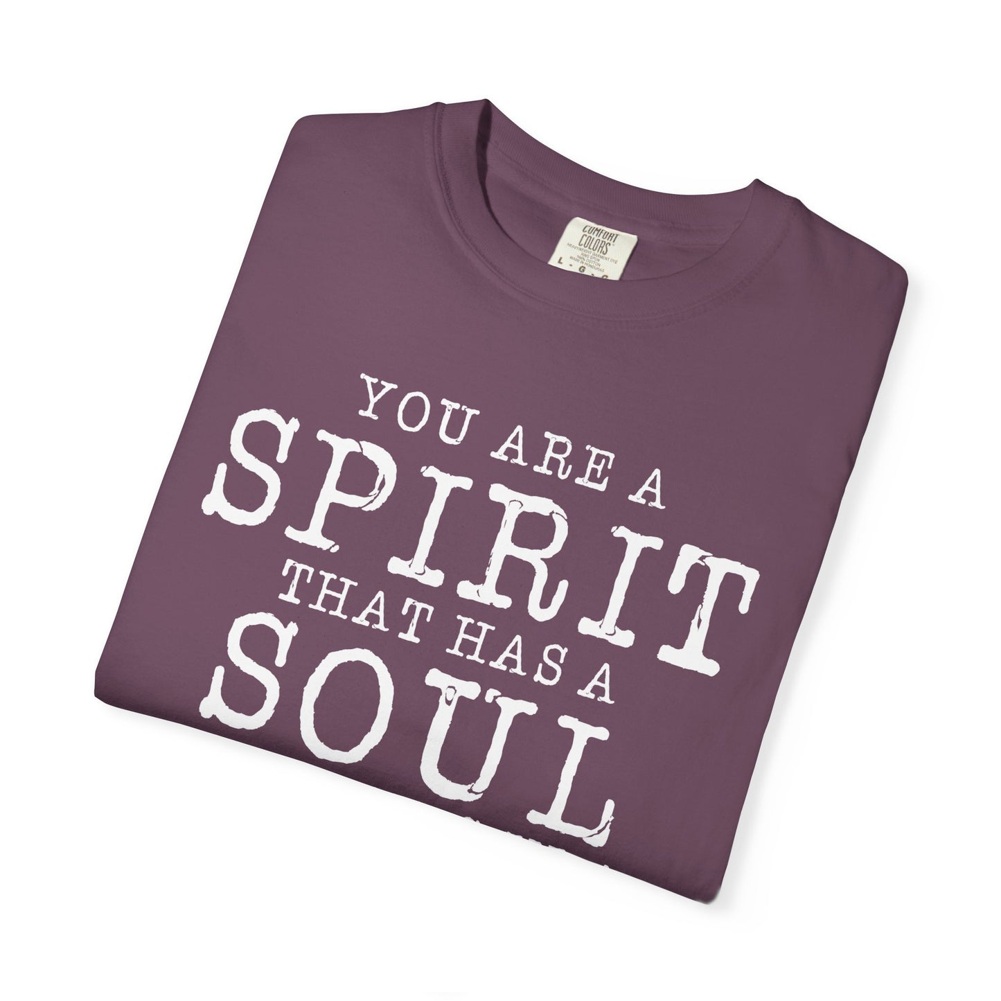 You Are A Spirt That Has A Soul And Lives In A Body "1 Thessalonians 5:23"